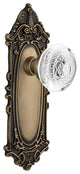 Victorian Plate Double Dummy Crystal Egg and Dart Knob, Antique Brass, VICCED