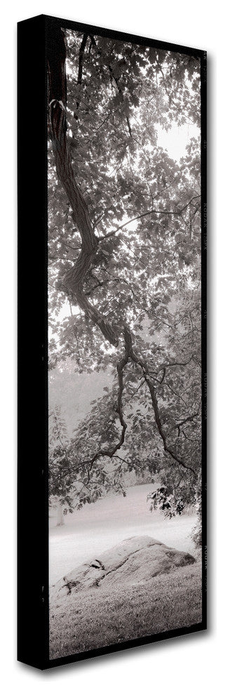 Alan Blaustein ''Hampton Field Tree I'' Canvas Art, 8x24