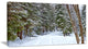 Snowy Road in the Forest, Landscape Canvas Art Print, 32"x16"