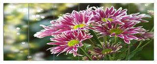 Purple Chrysanthemum Flower, Floral Canvas Art Print, 70"x28", 6 Panels