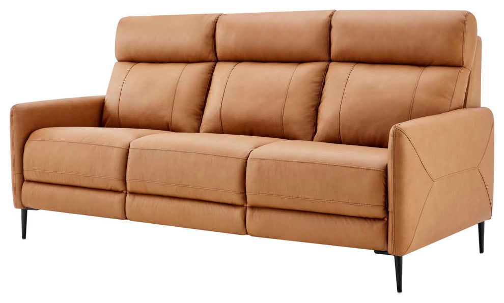Sofa, Leather, Tan, Modern, Living Lounge Room Hotel Lobby Hospitality