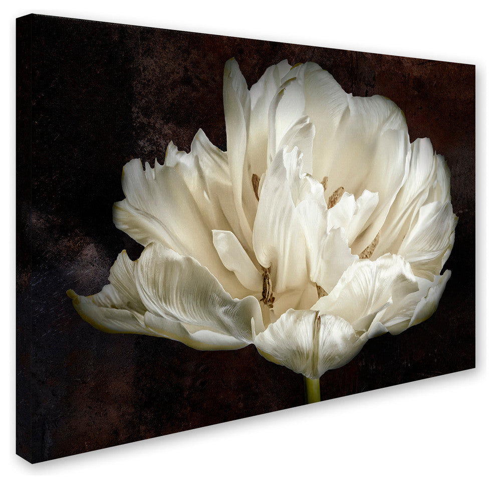 Cora Niele ''Double White Tulip'' Canvas Art