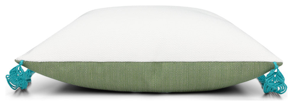 Lucky Cactus Indoor/Outdoor Performance Pillow, 20"x20"