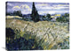 "Landscape with Green Corn" Stretched Canvas Giclee by Vincent Van Gogh, 30"x24"