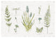 "In the Forest I" Digital Paper Print by Katie Pertiet, 32"x22"