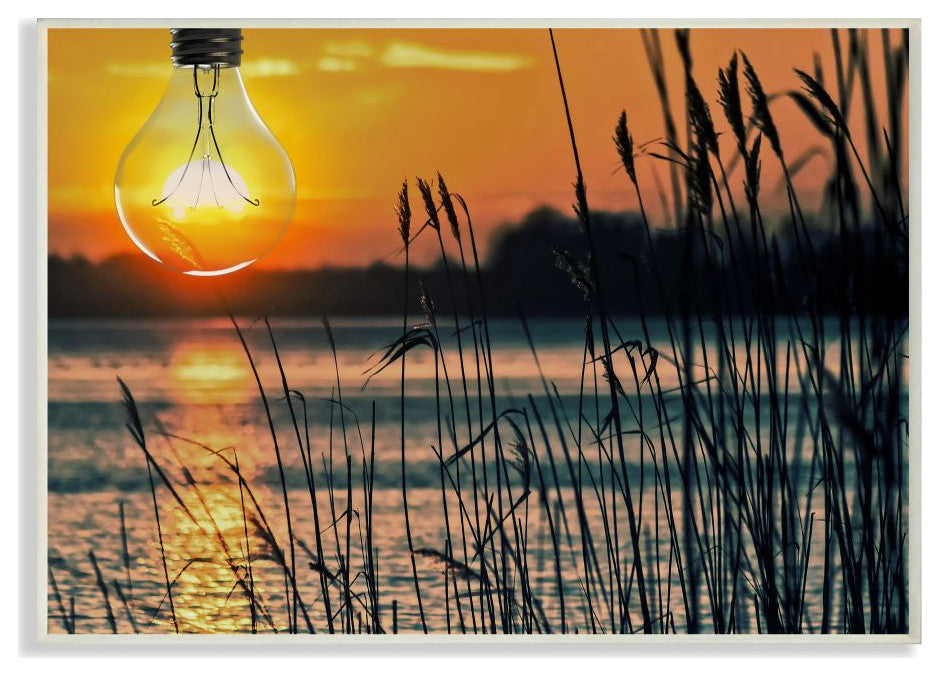 Lightbulb Sun Lake Reeds Photograph, 13"x19"