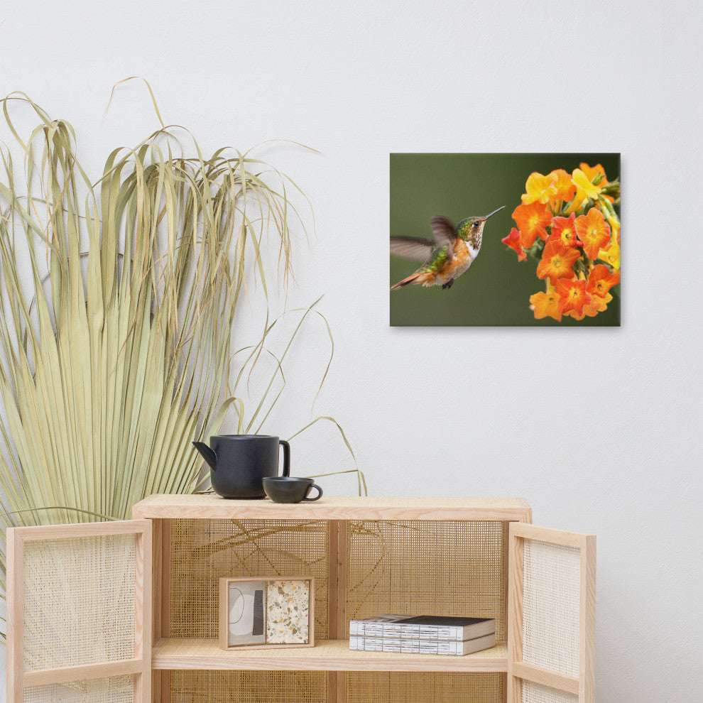 Hummingbird Little Yellow-Orange Flowers Wildlife Photo Canvas Wall Art Prints, 18" X 24"