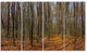 Dense Fall Forest Panorama, Forest Canvas Art Print, 48"x28", 4 Panels