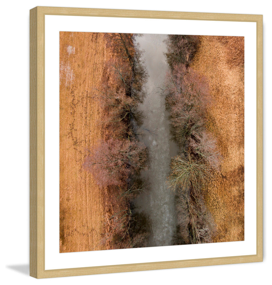 "Marshy Path" Framed Print by Karolis Janulis