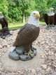 Collector Series Concrete Eagle Statue in Detail Painted Finish
