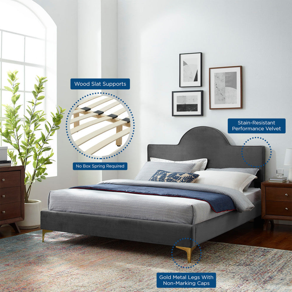 Platform Bed Frame, Queen Size, Charcoal Gray, Velvet, Modern, Guest Suite