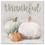 Thankful Colored Pumpkins Print on Canvas