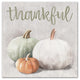 Thankful Colored Pumpkins Print on Canvas