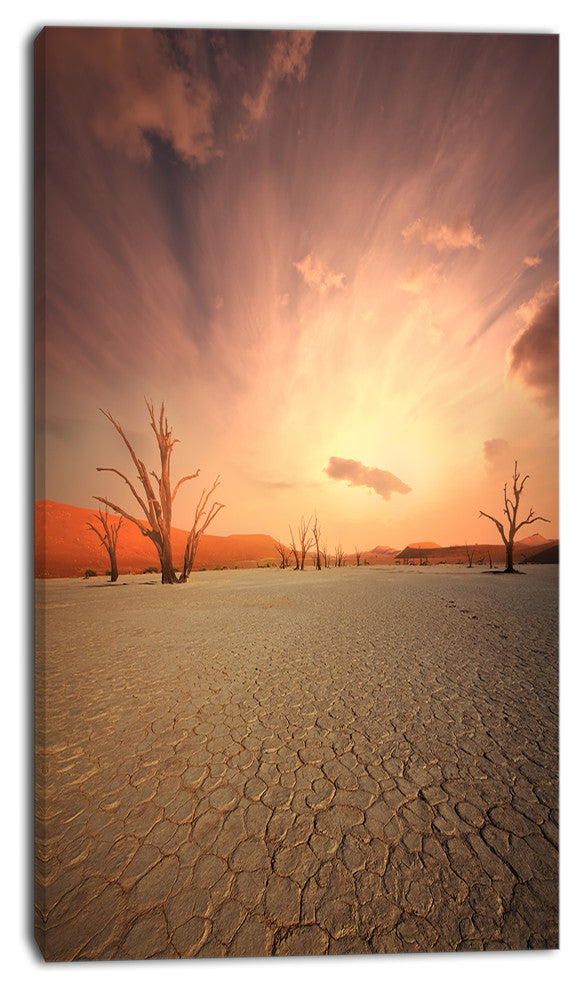 Namib Desert Beautiful Cracked Land, African Landscape Canvas Print, 16"x32"