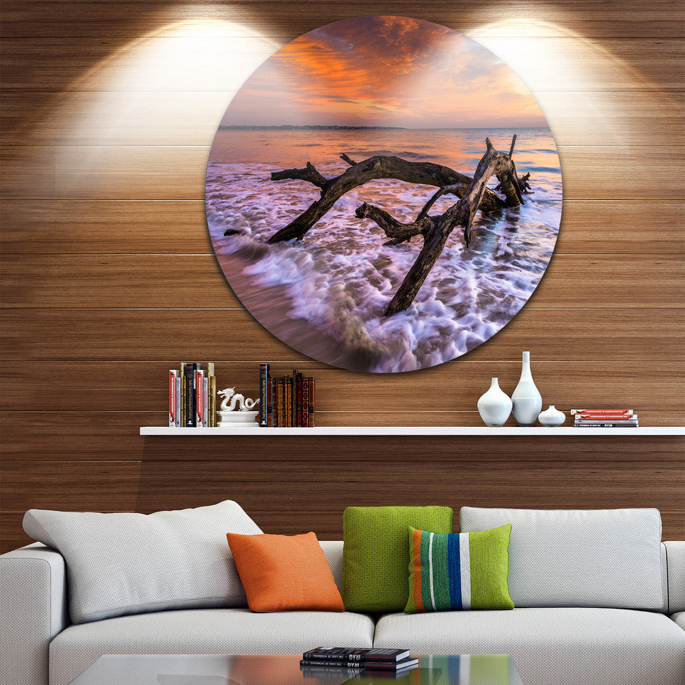 Huge Branch Of Tree At Seashore, Beach Disc Metal Artwork, 23"