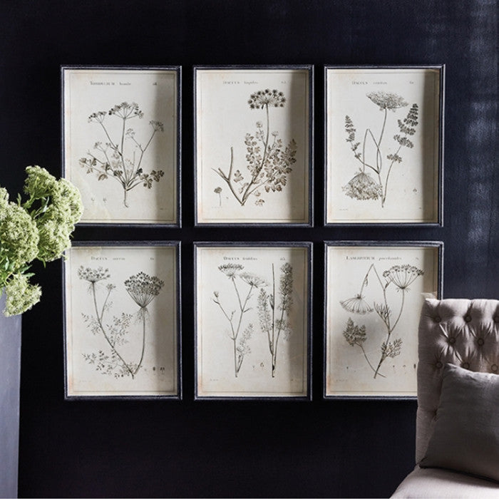 Set of 6 Black White Wild Flower Prints Vintage Style 24 in Wood Frame Gray