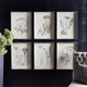 Set of 6 Black White Wild Flower Prints Vintage Style 24 in Wood Frame Gray