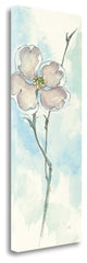 "Solitary Dogwood II" By Chris Paschke, Giclee Print on Gallery Wrap Canvas