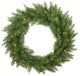 24" Essex Wreath, 160 Tips, 50 Clear Lights