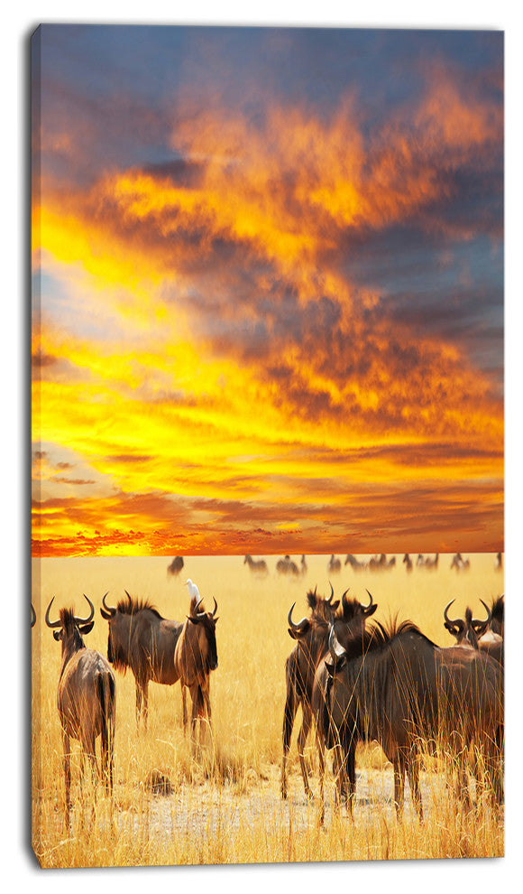 Antelope Crowd At Sunset, African Canvas Art Print, 16"x32"