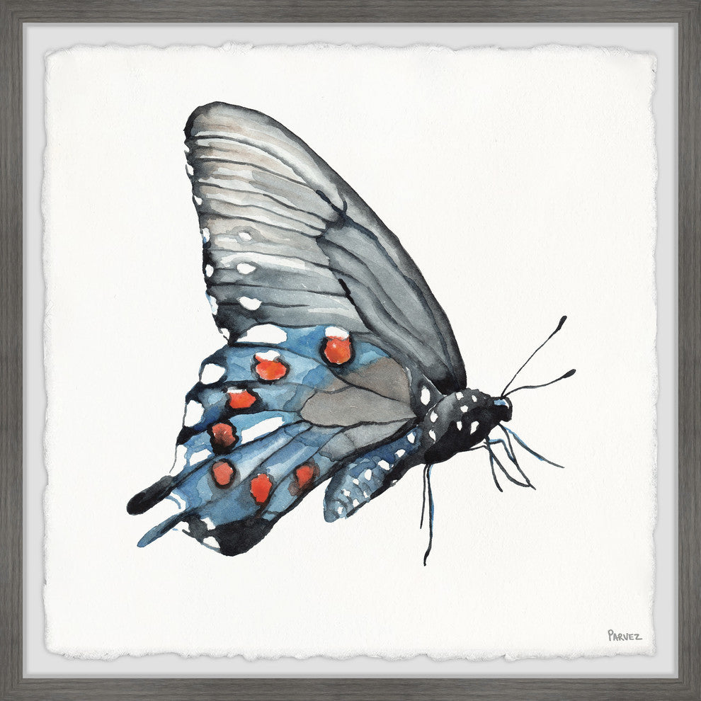 "Dotted Butterfly" Framed Painting Print, 24"x24"