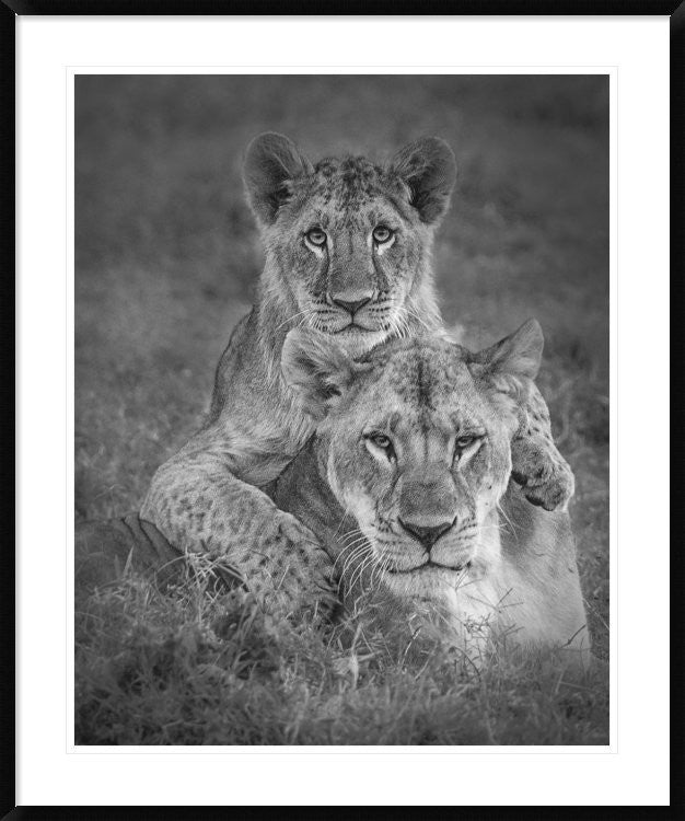 "Playtime With Mama!" Framed Digital Print by Ali Khataw, 36x43"