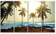 Rocky Tropical Beach with Palms, Seashore Canvas Art Print, 48"x28", 4 Panels
