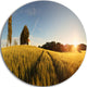 Sunset Over Wheat Field In Slovakia, Photo Disc Metal Wall Art, 23"