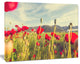 Wild Red Poppy Flowers in Field, Large Flower Canvas Art Print, 60"x28"