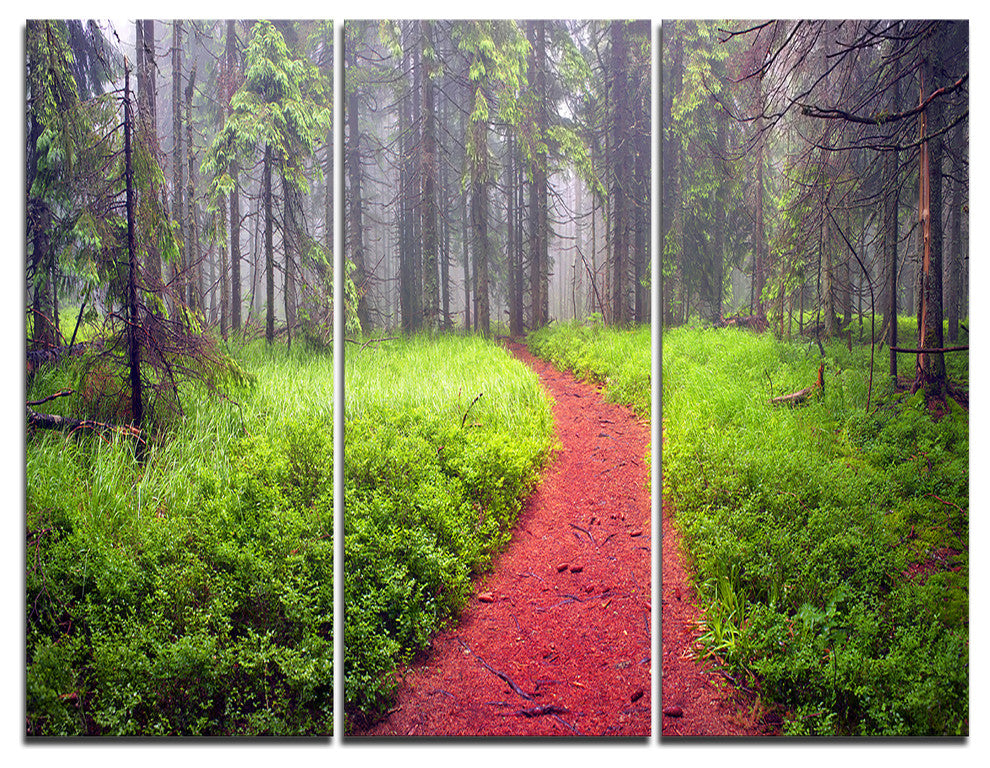 "Desert Footpath to Misty Forest" Photo Wall Art, 3 Panels, 36"x28"