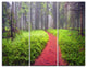 "Desert Footpath to Misty Forest" Photo Wall Art, 3 Panels, 36"x28"