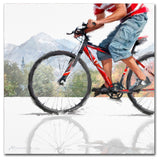 The Macneil Studio 'Mountain Bike' Canvas Art, 14"x14"