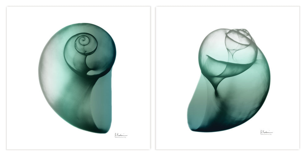 "Snail" Printed Wall Art on Unframed Free Floating Tempered Glass Set of 2