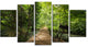 "Forest Way to Emerald Pool" Landscape Canvas Photo Print, 5 Panels, 60"x32"