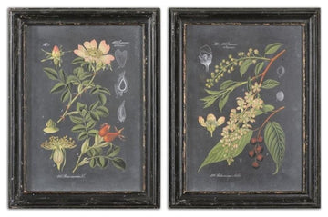 Bowery Hill Modern Midnight Botanicals 2 Piece Wall Art Set
