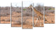 Giraffe Walking through African Forest, Animal Canvas Print, 60"x32", 5 Panels