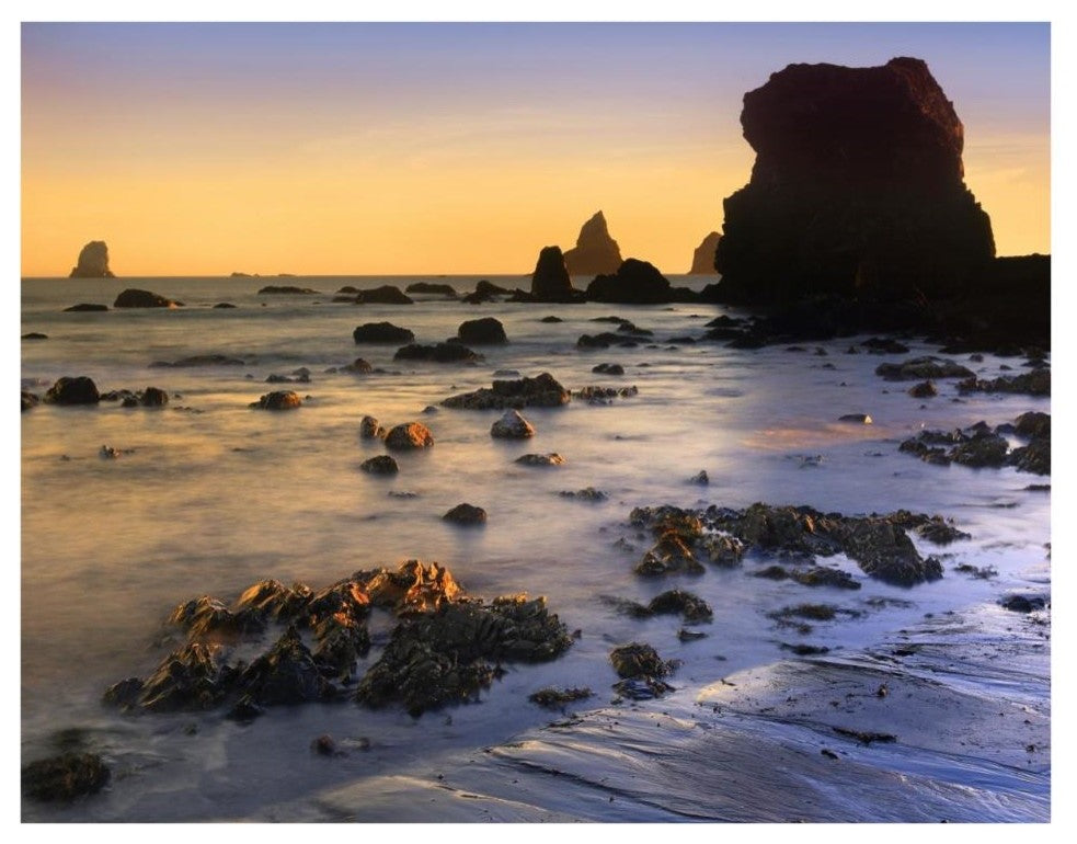"Lone Beach at sunset, Oregon" Digital Paper Print by Tim Fitzharris, 34"x26"
