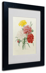 'Carnations from Choix' Matted Framed Canvas Art by Joseph Redoute