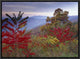 Staghorn Sumac In Autumn, Blue Ridge Mountain Range, Virginia, 16"x12"