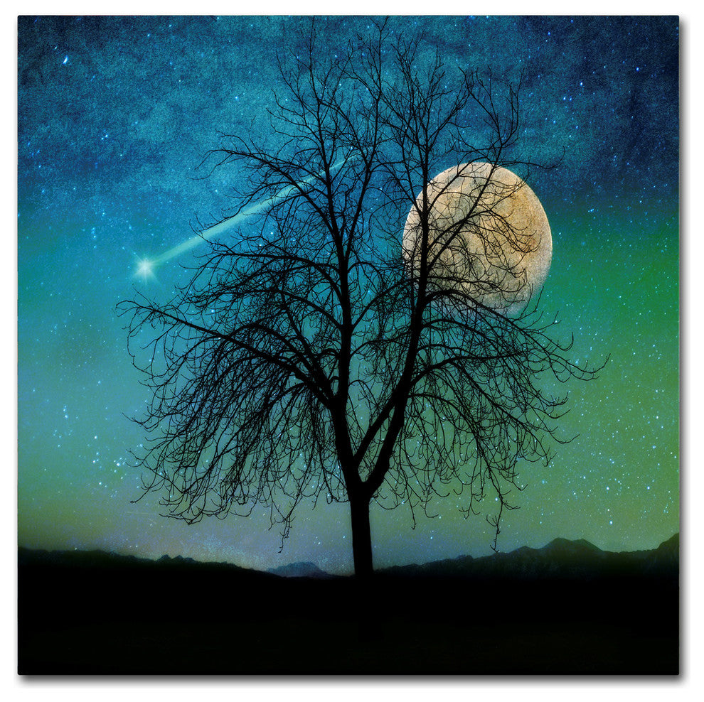 Tina Lavoie 'Opalescent Sky' Canvas Art, 24" x 24"