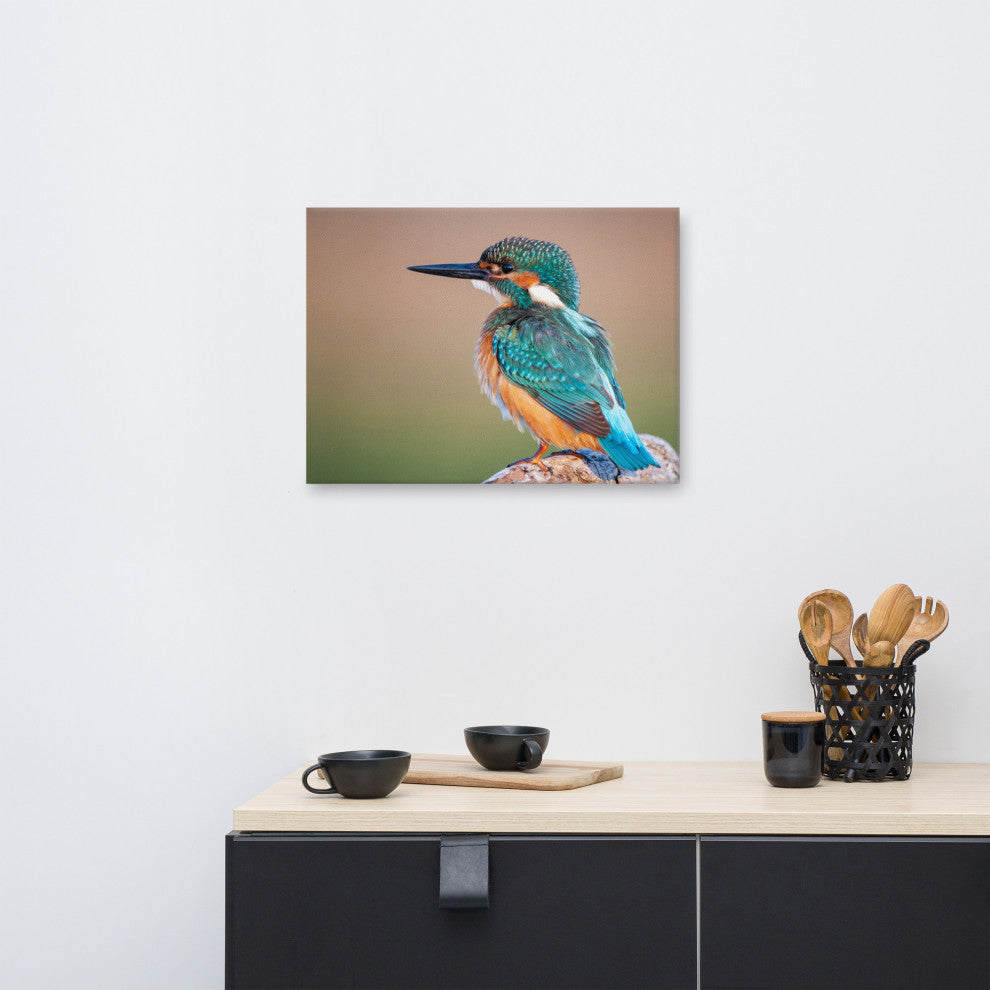 Common Kingfisher Bird on Perch Animal Wildlife Photograph Canvas Wall Art Print, 18" X 24"