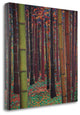 "Magical Forest" By Don Li-Leger, Giclee Print on Gallery Wrap Canvas