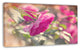 Beautiful Pink Rose Flowers, Floral Canvas Art Print, 32"x16"