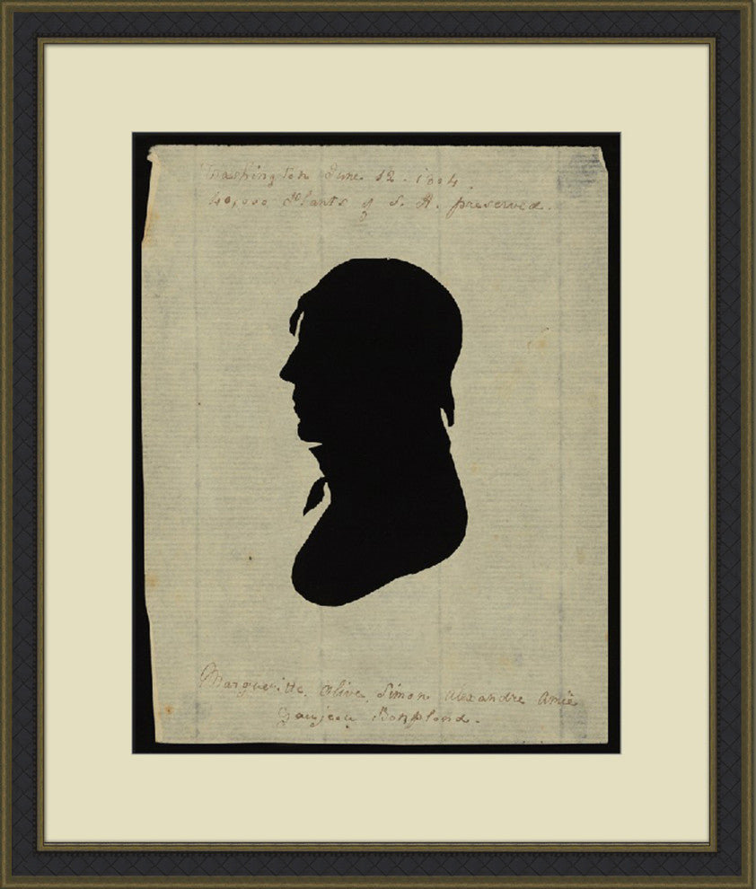 Colonial Male Silhouette 3, Giclee Reproduction Artwork