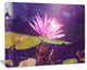 Pink Lotus Flower on Blue Background, Floral Canvas Art Print, 40"x30"
