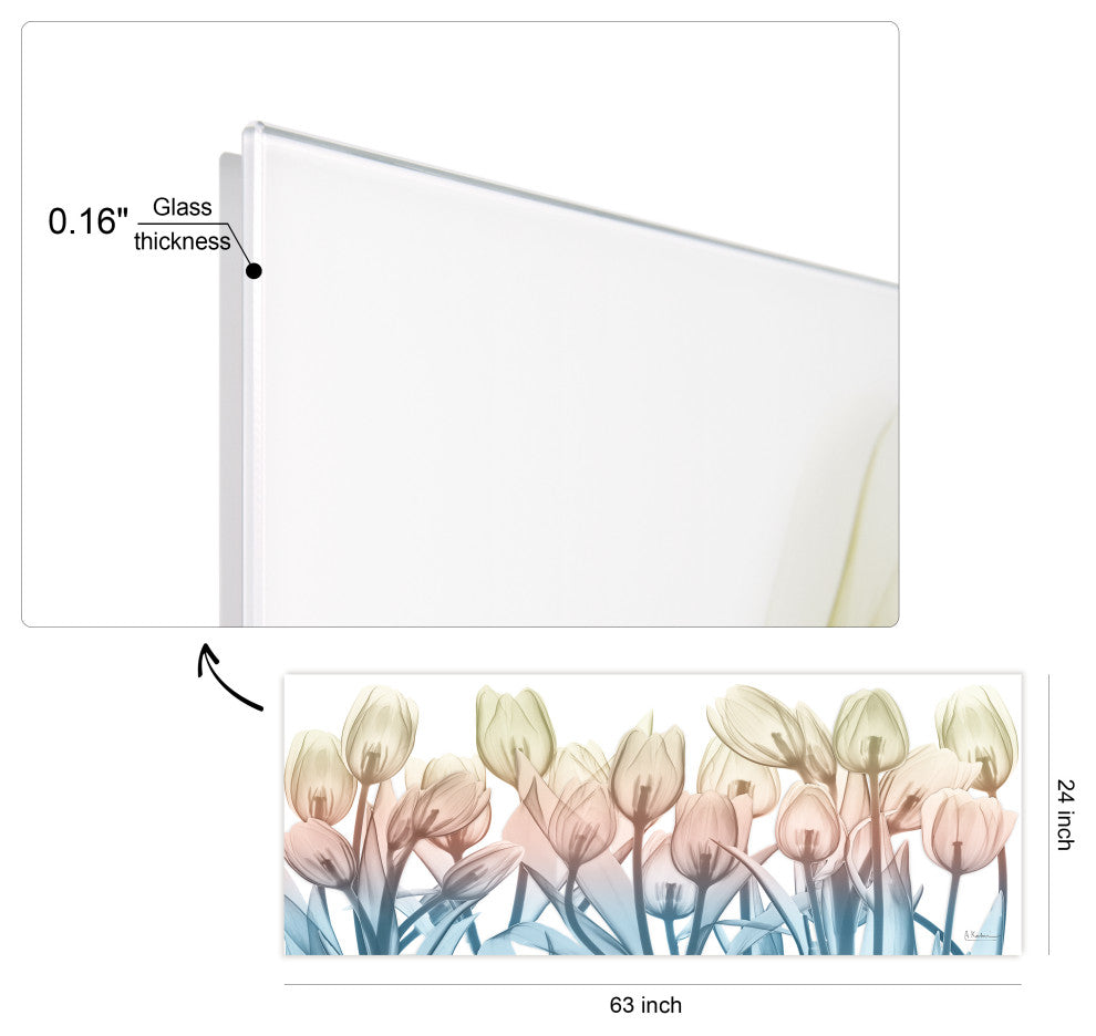 "Spring Blooms" Frameless Free Floating Panel Graphic Wall Art, 24"x63"