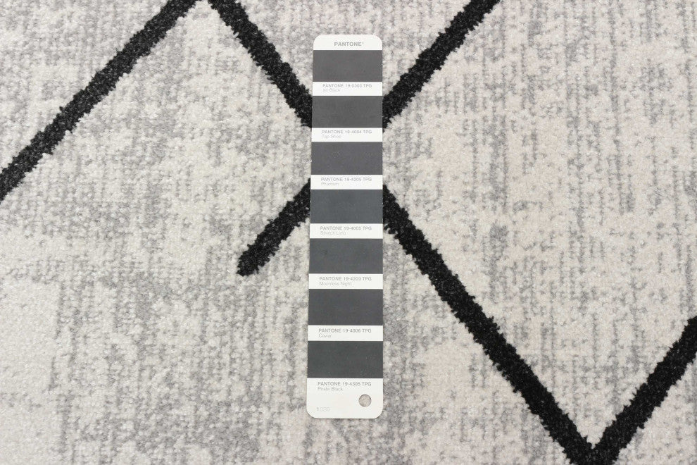 Aqua Damali Area Rug, Ivory/Black, 2'6"x8'