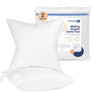 Decorative Throw Pillow Insert - Fluffy Euro Cushion Insert for bed or Couch, White, 22x22 Inch - 2 Pack, 25% Down, 75% Feather