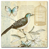 'Freedom I' Canvas Art by Lisa Audit