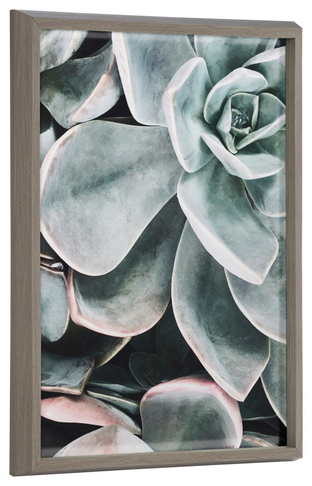 Blake Succulent 2 Printed Glass by The Creative Bunch Studio, Gray 18x24